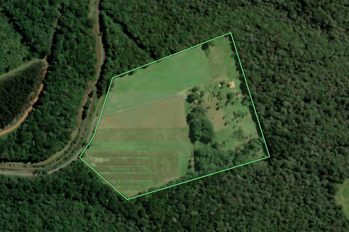 Imagem de satélite do imóvel rural em Teixeira Soares (PR), com o contorno declarado no CAR desenhado por cima.