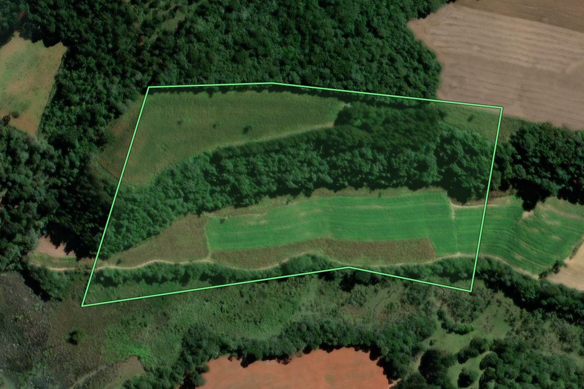 Imagem de satélite do imóvel rural em Teixeira Soares (PR), com o contorno declarado no CAR desenhado por cima.