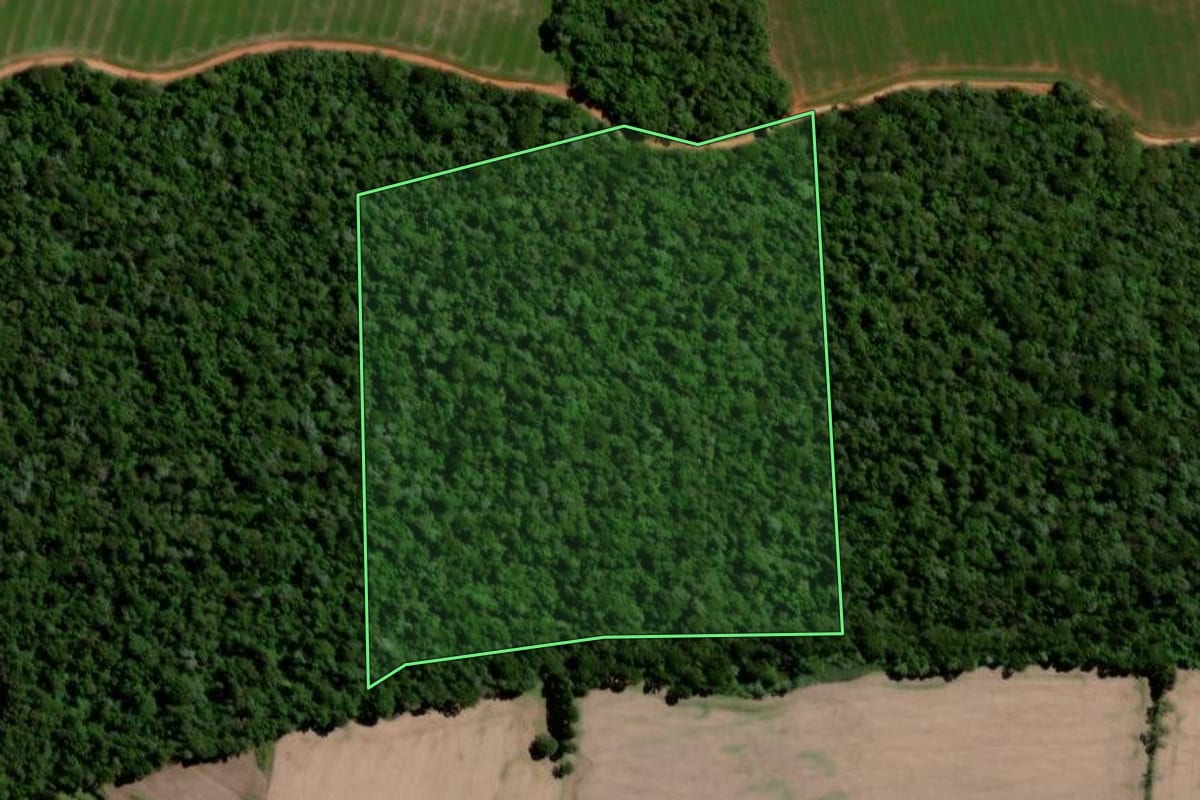Imagem de satélite do imóvel rural em Teixeira Soares (PR), com o contorno declarado no CAR desenhado por cima.