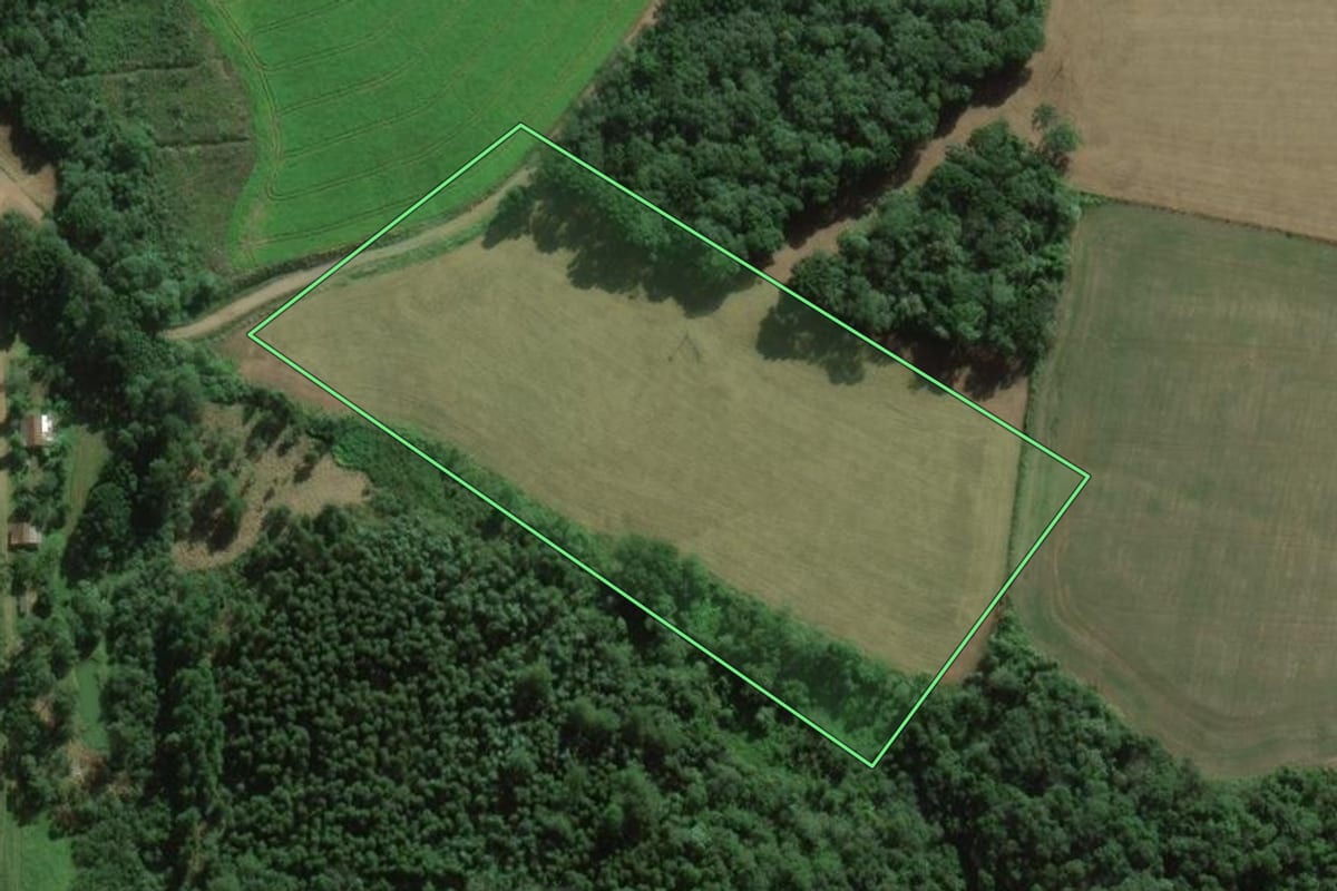 Imagem de satélite do imóvel rural em Teixeira Soares (PR), com o contorno declarado no CAR desenhado por cima.