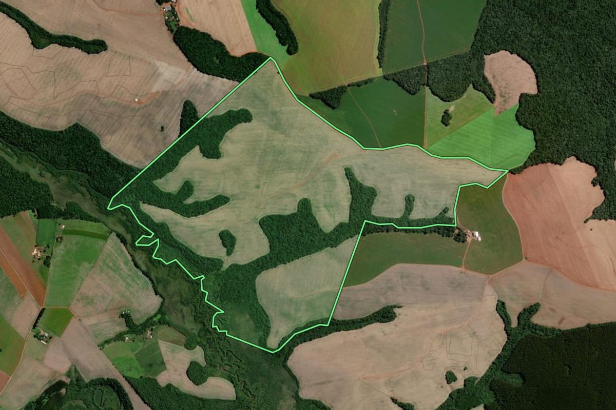 Imagem de satélite do imóvel rural em Teixeira Soares (PR), com o contorno declarado no CAR desenhado por cima.