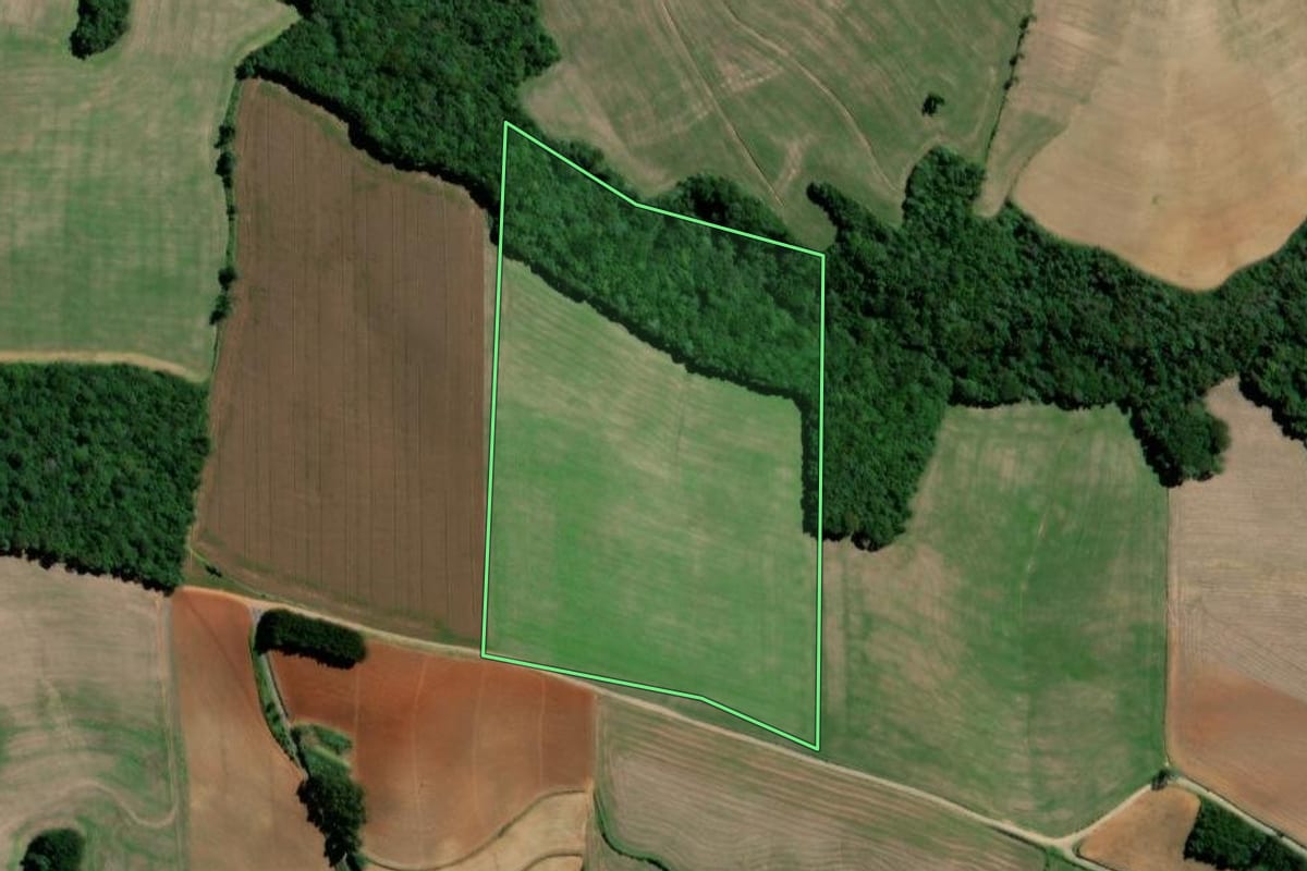 Imagem de satélite do imóvel rural em Teixeira Soares (PR), com o contorno declarado no CAR desenhado por cima.