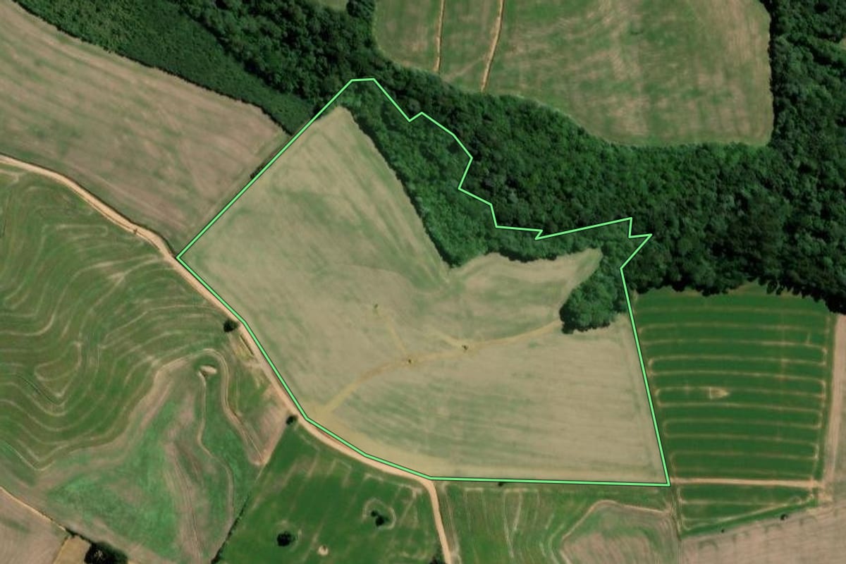 Imagem de satélite do imóvel rural em Teixeira Soares (PR), com o contorno declarado no CAR desenhado por cima.