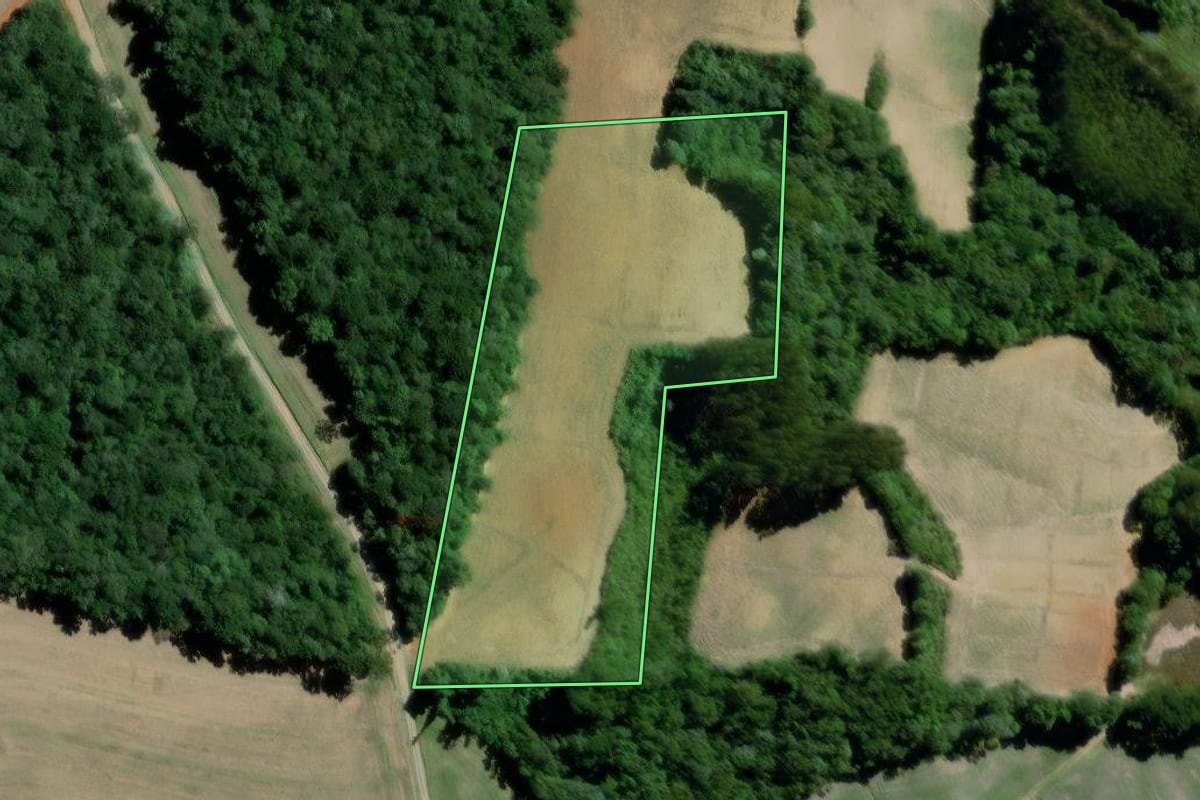 Imagem de satélite do imóvel rural em Teixeira Soares (PR), com o contorno declarado no CAR desenhado por cima.