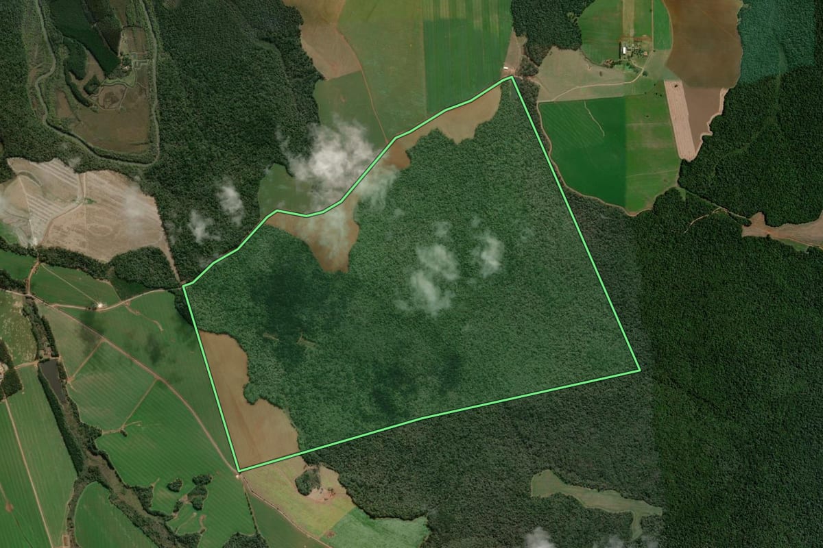 Imagem de satélite do imóvel rural em Teixeira Soares (PR), com o contorno declarado no CAR desenhado por cima.