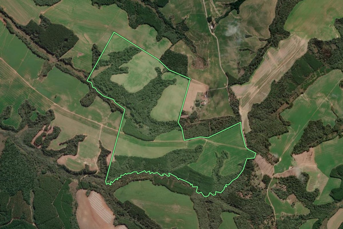 Imagem de satélite do imóvel rural em Teixeira Soares (PR), com o contorno declarado no CAR desenhado por cima.