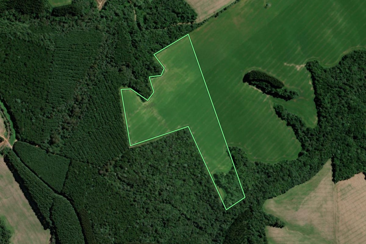 Imagem de satélite do imóvel rural em Teixeira Soares (PR), com o contorno declarado no CAR desenhado por cima.