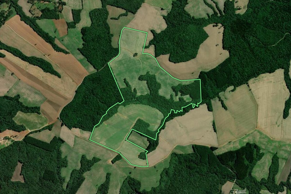 Imagem de satélite do imóvel rural em Teixeira Soares (PR), com o contorno declarado no CAR desenhado por cima.