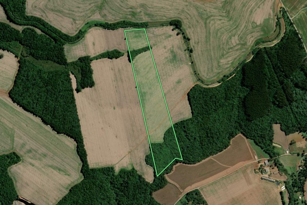 Imagem de satélite do imóvel rural em Teixeira Soares (PR), com o contorno declarado no CAR desenhado por cima.