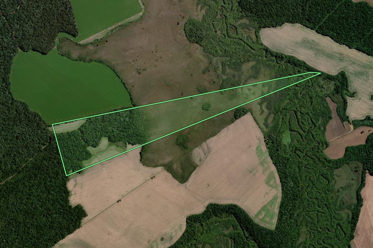 Imagem de satélite do imóvel rural em Teixeira Soares (PR), com o contorno declarado no CAR desenhado por cima.