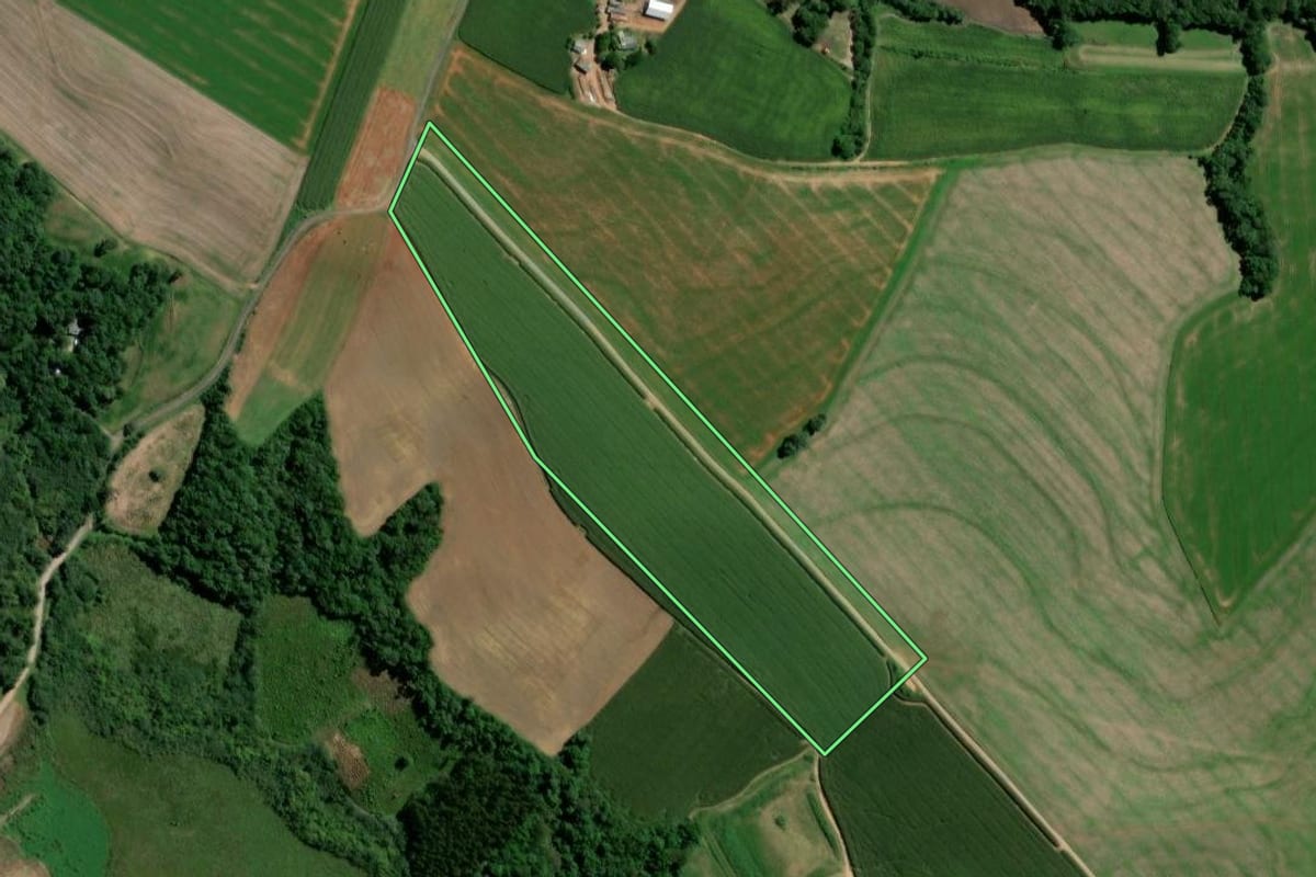 Imagem de satélite do imóvel rural em Teixeira Soares (PR), com o contorno declarado no CAR desenhado por cima.