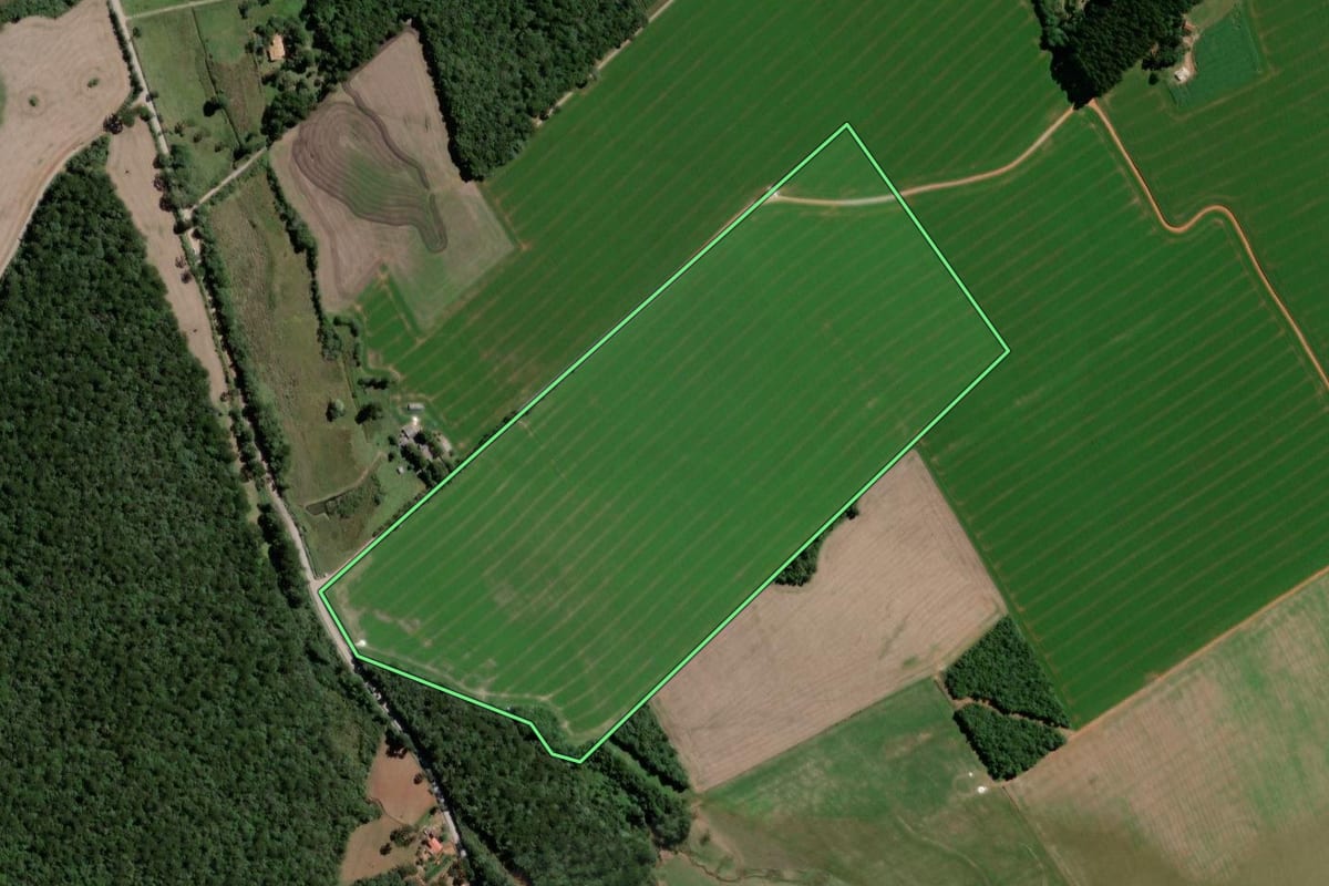 Imagem de satélite do imóvel rural em Teixeira Soares (PR), com o contorno declarado no CAR desenhado por cima.