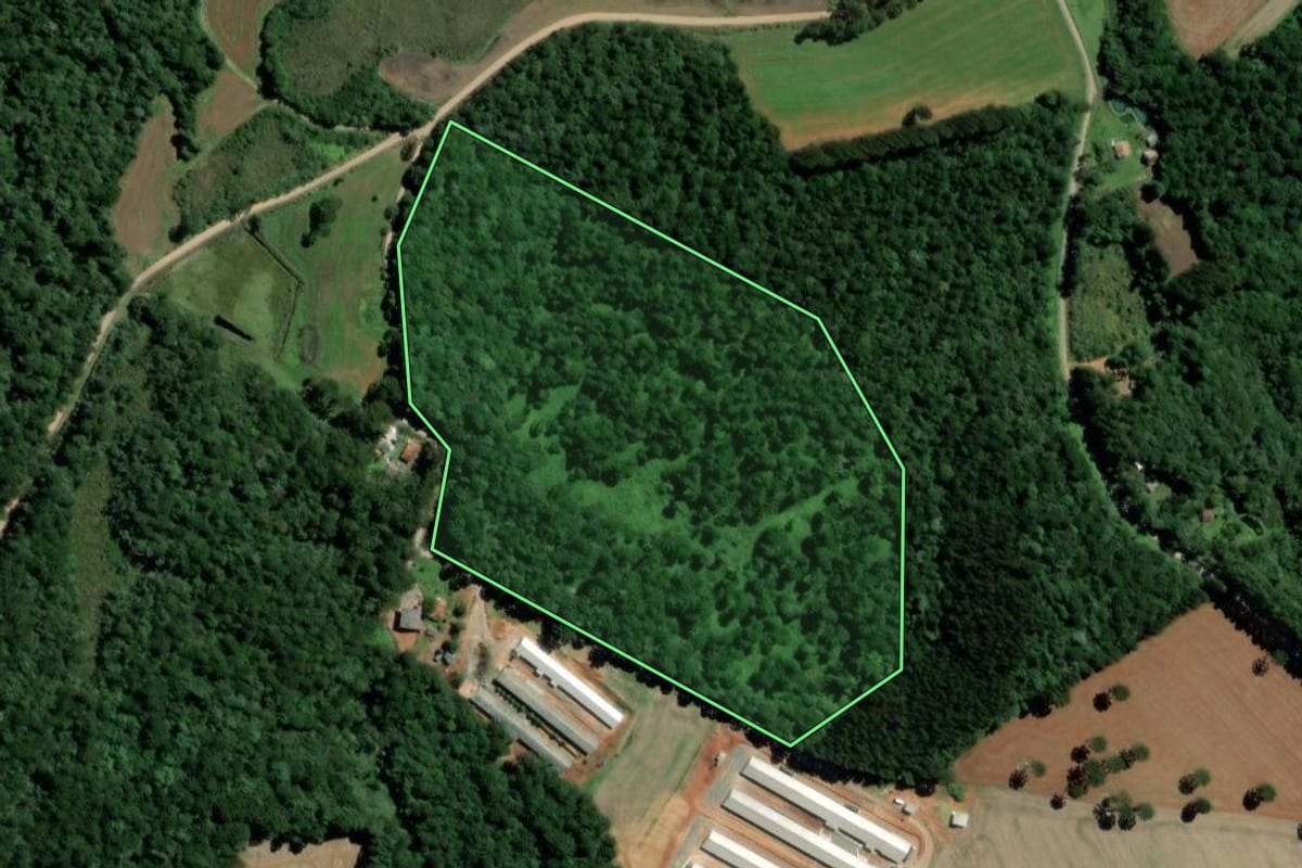 Imagem de satélite do imóvel rural em Teixeira Soares (PR), com o contorno declarado no CAR desenhado por cima.