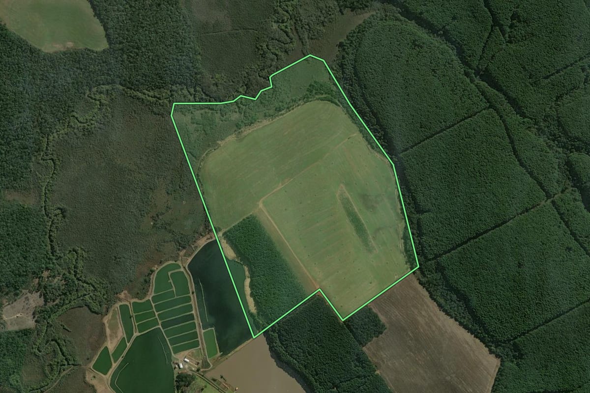 Imagem de satélite do imóvel rural em Teixeira Soares (PR), com o contorno declarado no CAR desenhado por cima.