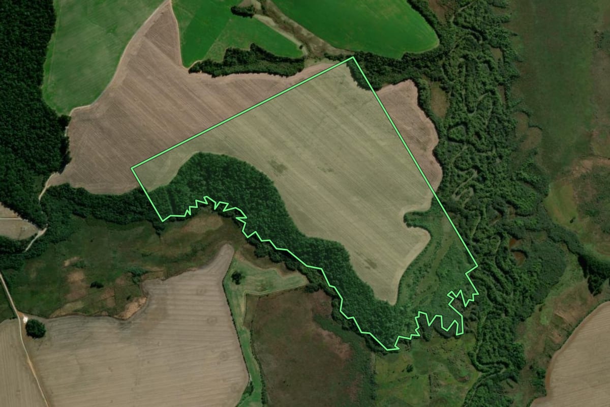Imagem de satélite do imóvel rural em Teixeira Soares (PR), com o contorno declarado no CAR desenhado por cima.