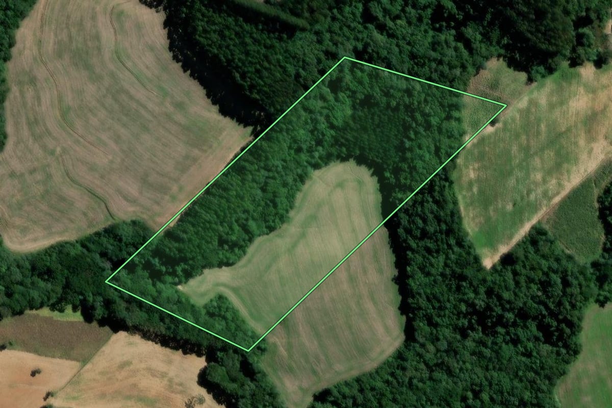 Imagem de satélite do imóvel rural em Teixeira Soares (PR), com o contorno declarado no CAR desenhado por cima.