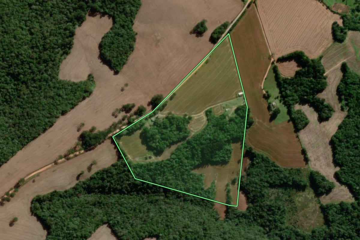 Imagem de satélite do imóvel rural em Teixeira Soares (PR), com o contorno declarado no CAR desenhado por cima.