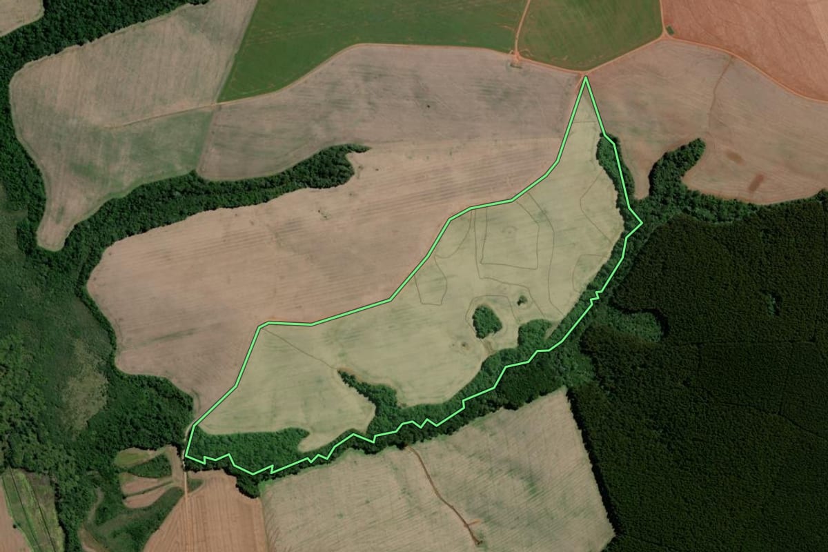 Imagem de satélite do imóvel rural em Teixeira Soares (PR), com o contorno declarado no CAR desenhado por cima.