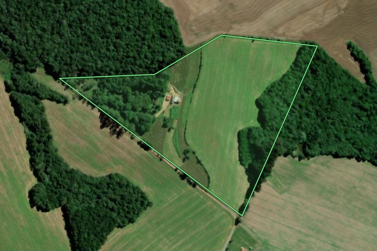 Imagem de satélite do imóvel rural em Teixeira Soares (PR), com o contorno declarado no CAR desenhado por cima.