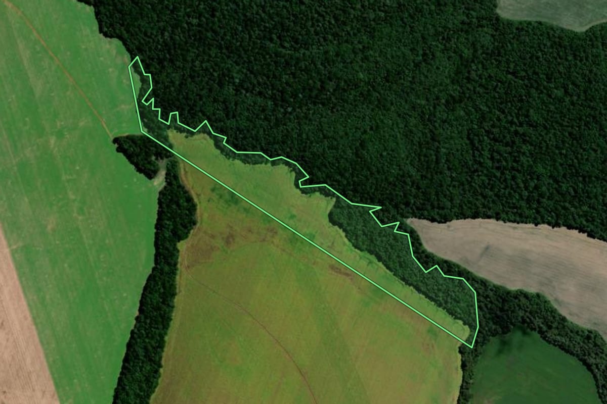 Imagem de satélite do imóvel rural em Teixeira Soares (PR), com o contorno declarado no CAR desenhado por cima.