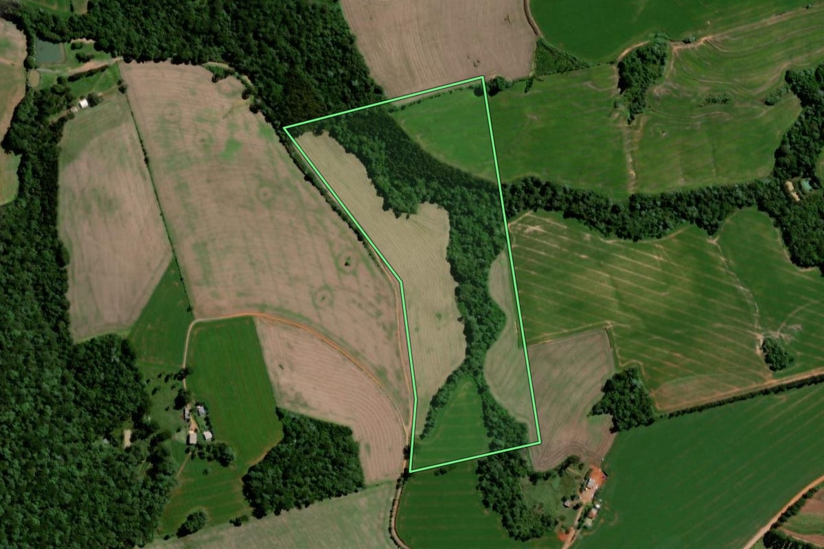 Imagem de satélite do imóvel rural em Teixeira Soares (PR), com o contorno declarado no CAR desenhado por cima.