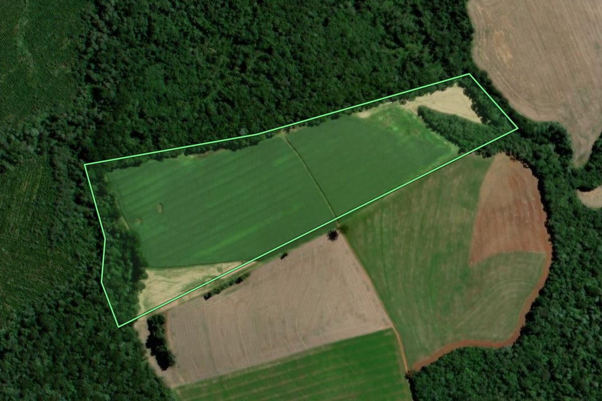 Imagem de satélite do imóvel rural em Teixeira Soares (PR), com o contorno declarado no CAR desenhado por cima.
