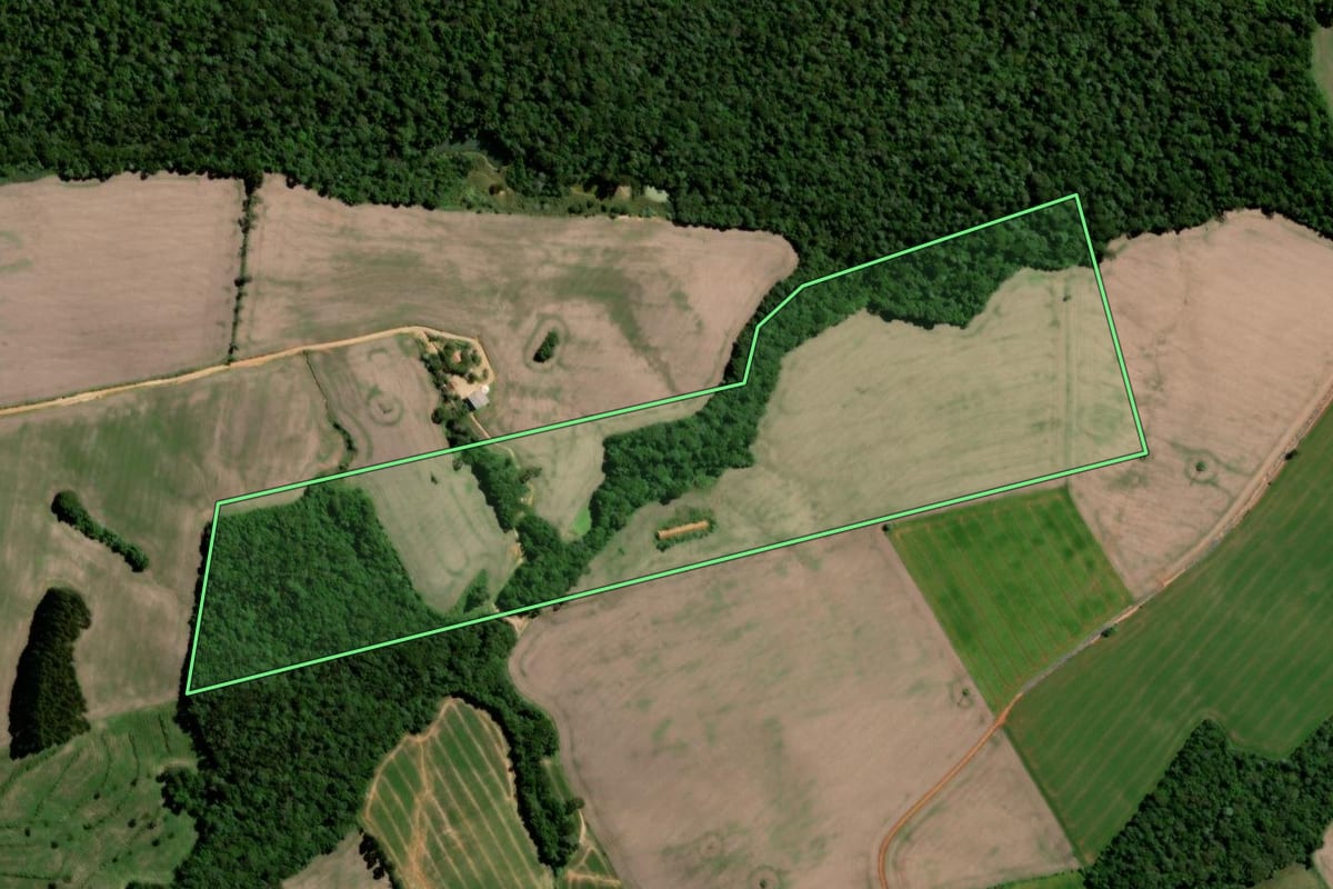 Imagem de satélite do imóvel rural em Teixeira Soares (PR), com o contorno declarado no CAR desenhado por cima.