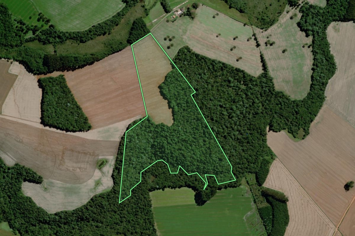 Imagem de satélite do imóvel rural em Teixeira Soares (PR), com o contorno declarado no CAR desenhado por cima.