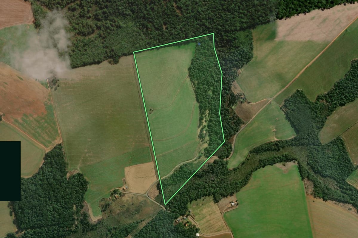 Imagem de satélite do imóvel rural em Teixeira Soares (PR), com o contorno declarado no CAR desenhado por cima.