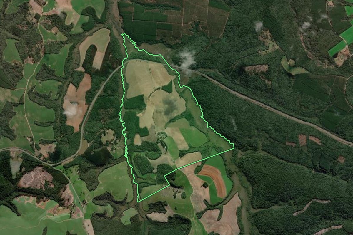 Imagem de satélite do imóvel rural em Fernandes Pinheiro (PR), com o contorno declarado no CAR desenhado por cima.