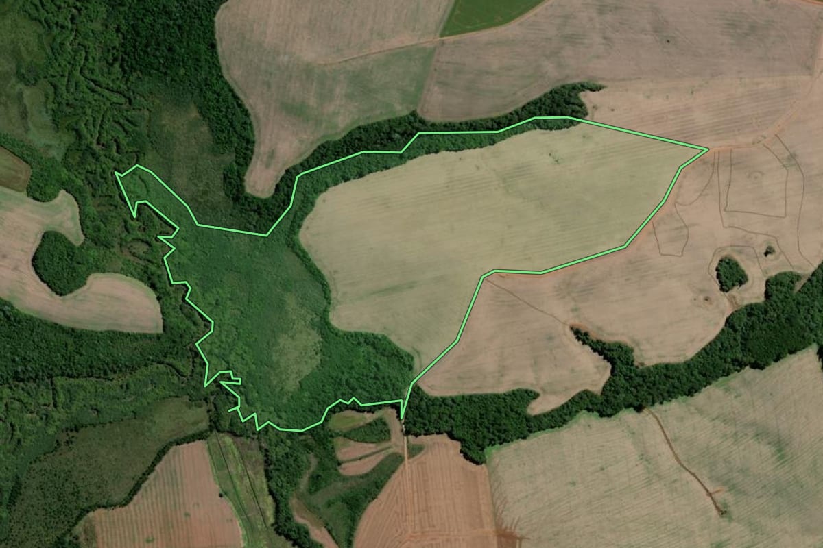 Imagem de satélite do imóvel rural em Teixeira Soares (PR), com o contorno declarado no CAR desenhado por cima.
