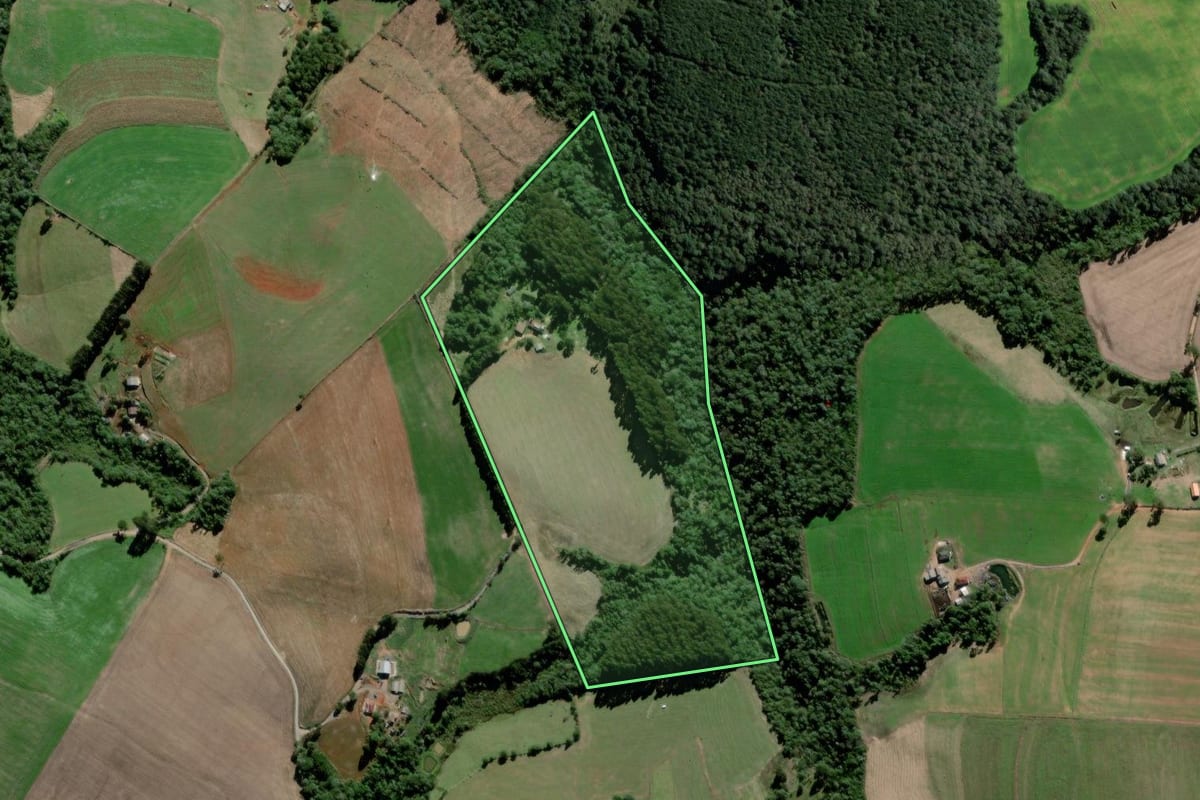 Imagem de satélite do imóvel rural em Teixeira Soares (PR), com o contorno declarado no CAR desenhado por cima.