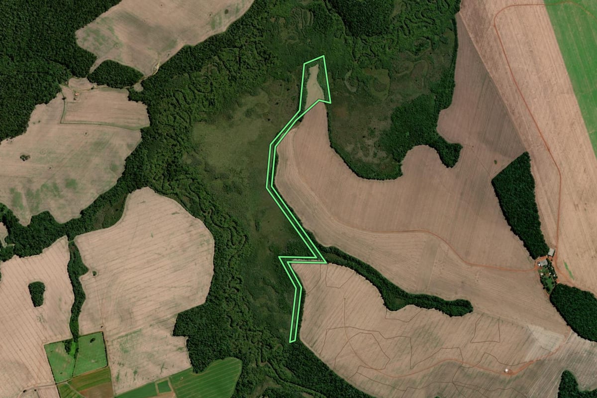 Imagem de satélite do imóvel rural em Teixeira Soares (PR), com o contorno declarado no CAR desenhado por cima.