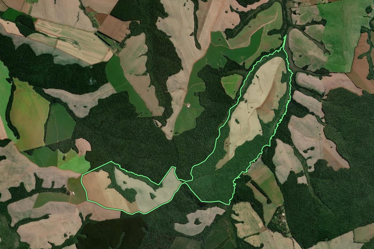 Imagem de satélite do imóvel rural em Teixeira Soares (PR), com o contorno declarado no CAR desenhado por cima.