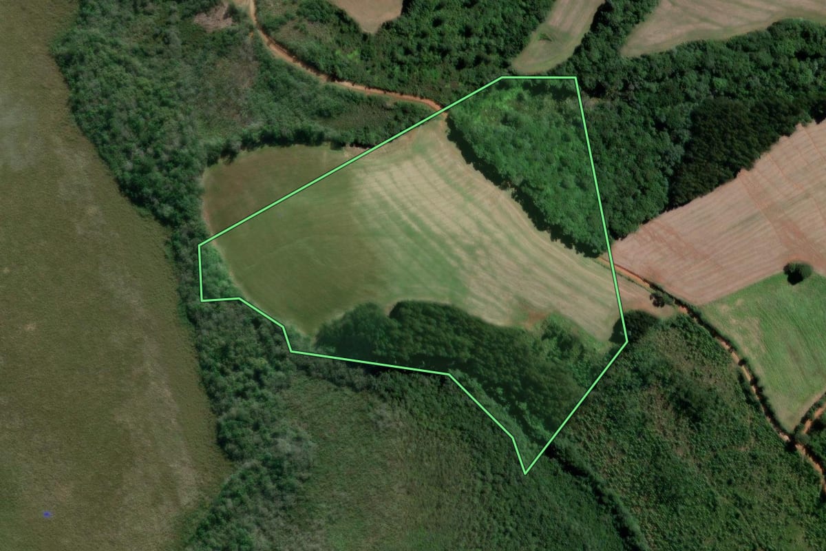 Imagem de satélite do imóvel rural em Teixeira Soares (PR), com o contorno declarado no CAR desenhado por cima.