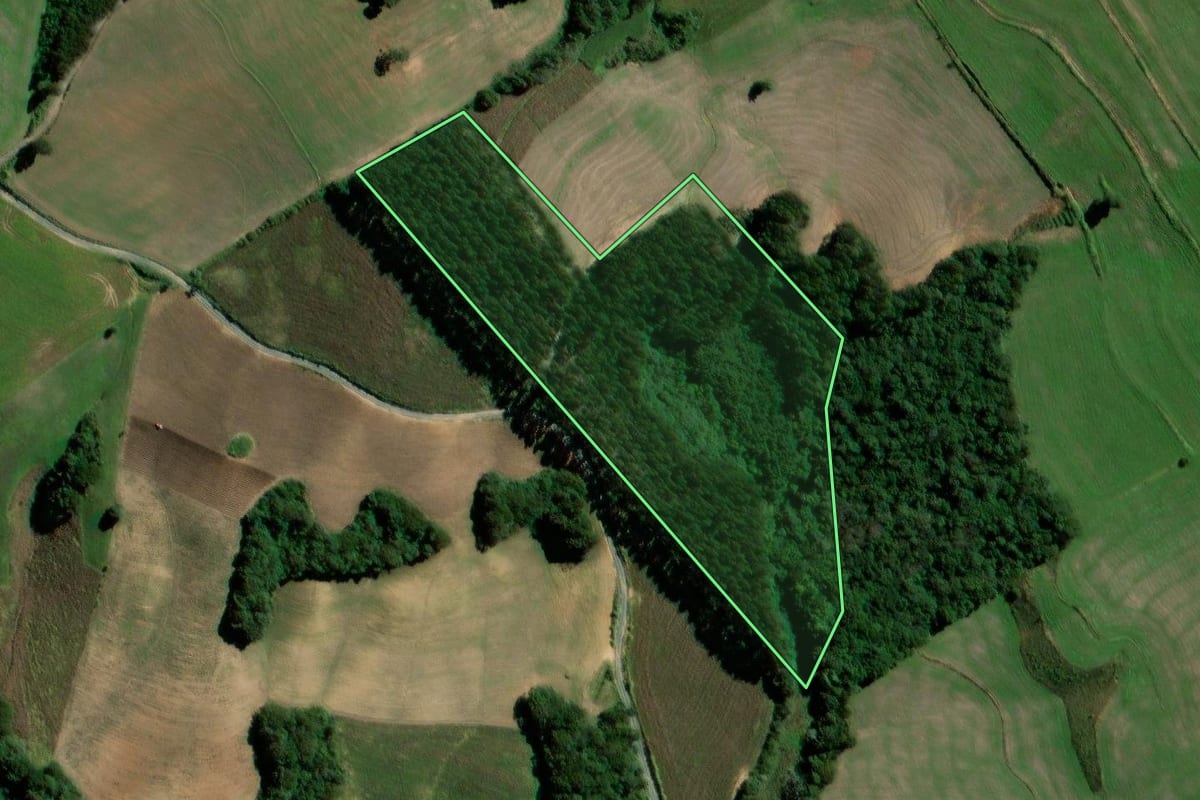 Imagem de satélite do imóvel rural em Teixeira Soares (PR), com o contorno declarado no CAR desenhado por cima.