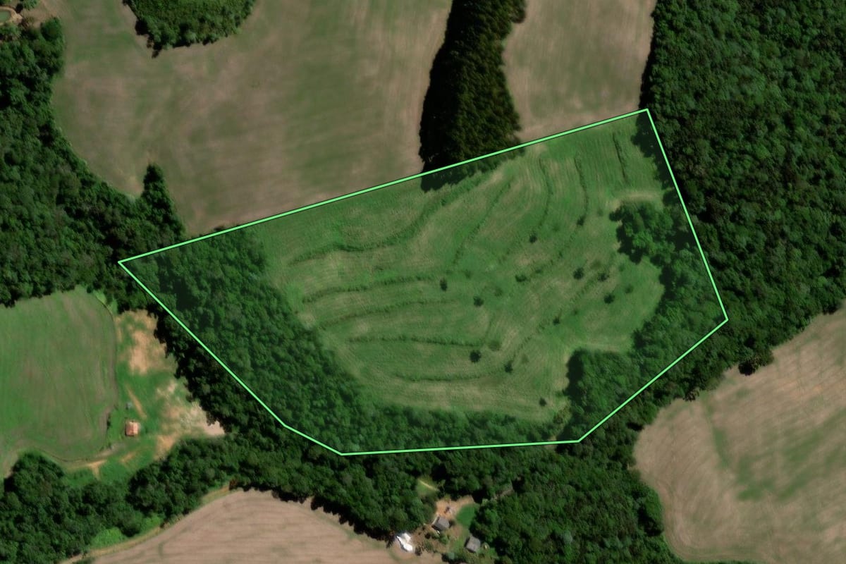 Imagem de satélite do imóvel rural em Teixeira Soares (PR), com o contorno declarado no CAR desenhado por cima.