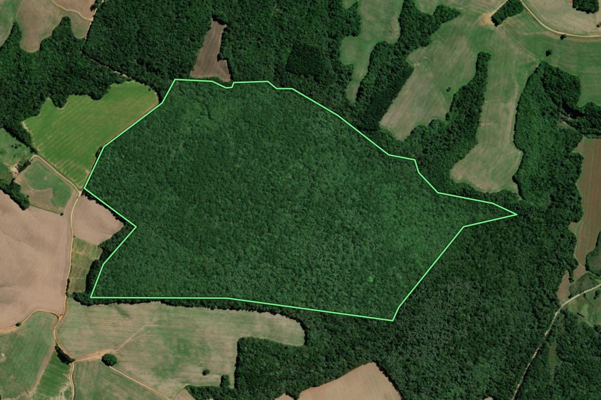 Imagem de satélite do imóvel rural em Teixeira Soares (PR), com o contorno declarado no CAR desenhado por cima.