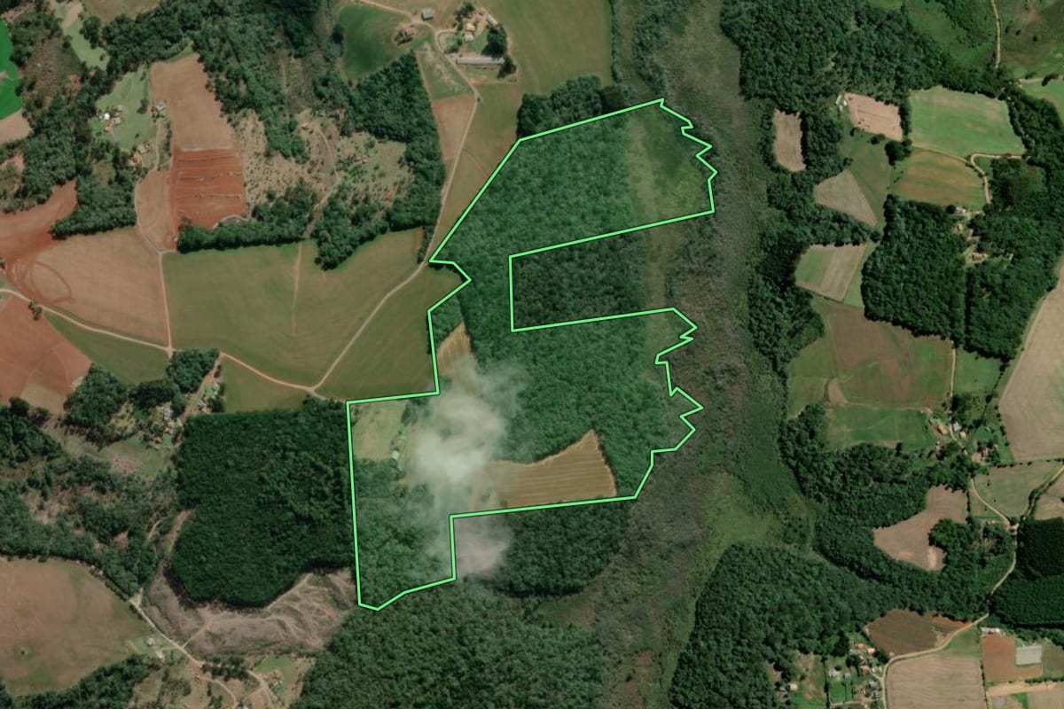 Imagem de satélite do imóvel rural em Teixeira Soares (PR), com o contorno declarado no CAR desenhado por cima.