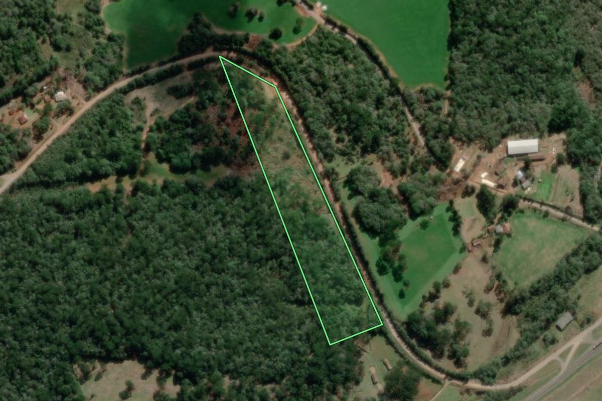Imagem de satélite do imóvel rural em Teixeira Soares (PR), com o contorno declarado no CAR desenhado por cima.