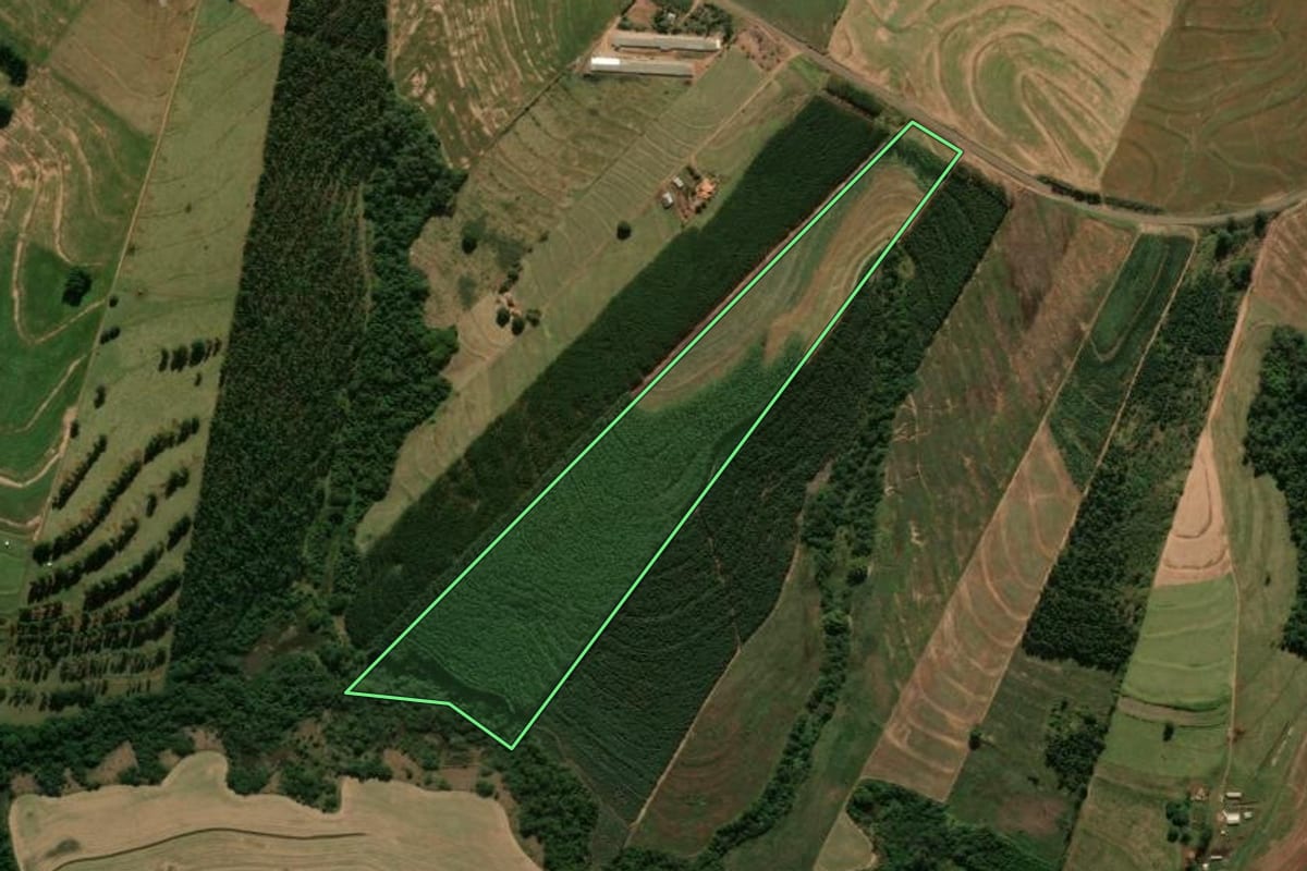 Imagem de satélite do imóvel rural em Terra Boa (PR), com o contorno declarado no CAR desenhado por cima.