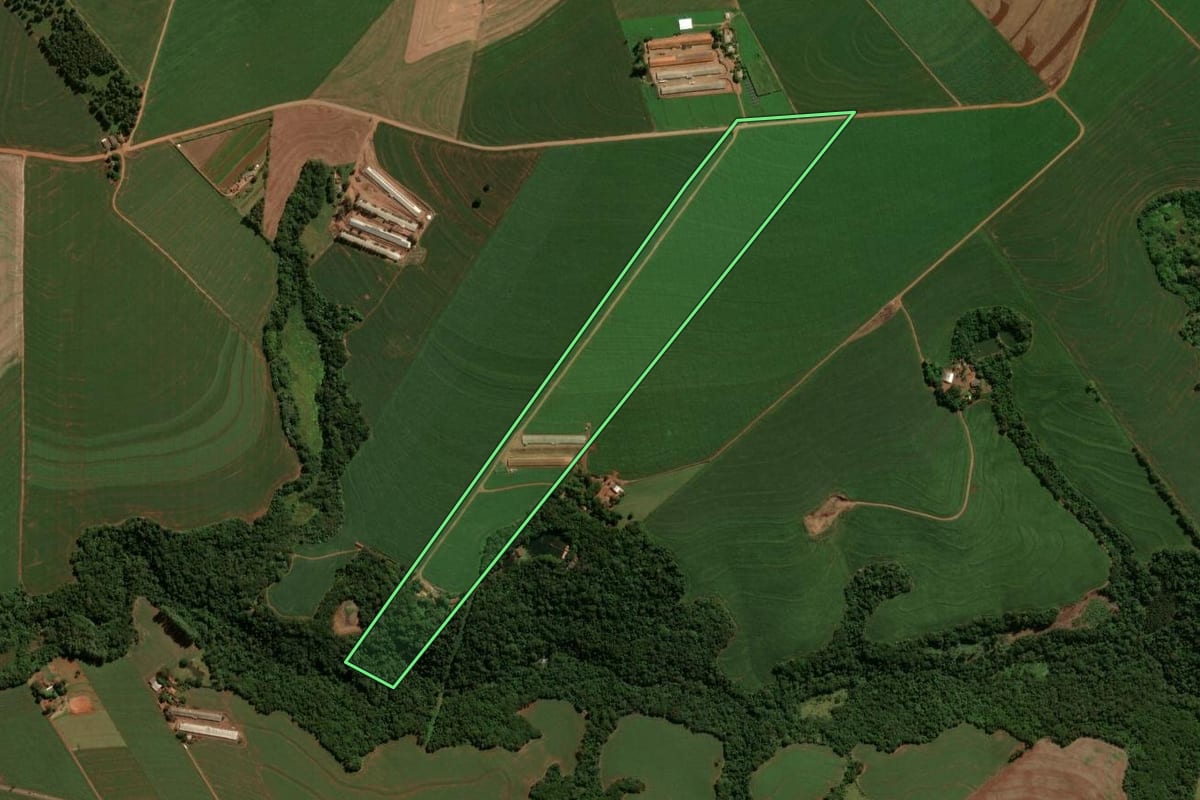 Imagem de satélite do imóvel rural em Terra Boa (PR), com o contorno declarado no CAR desenhado por cima.