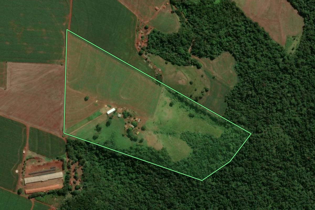 Imagem de satélite do imóvel rural em Terra Boa (PR), com o contorno declarado no CAR desenhado por cima.