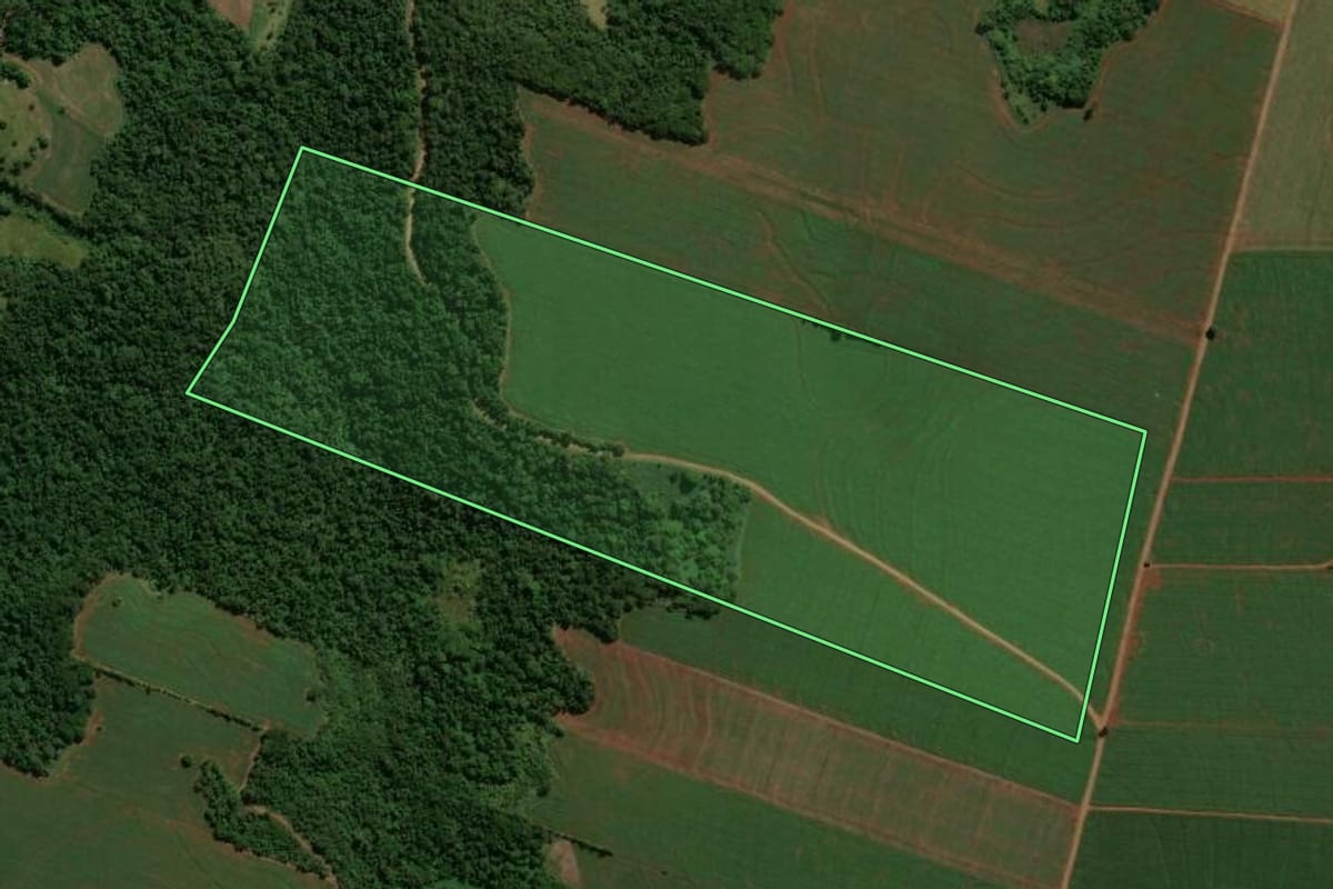 Imagem de satélite do imóvel rural em Terra Boa (PR), com o contorno declarado no CAR desenhado por cima.
