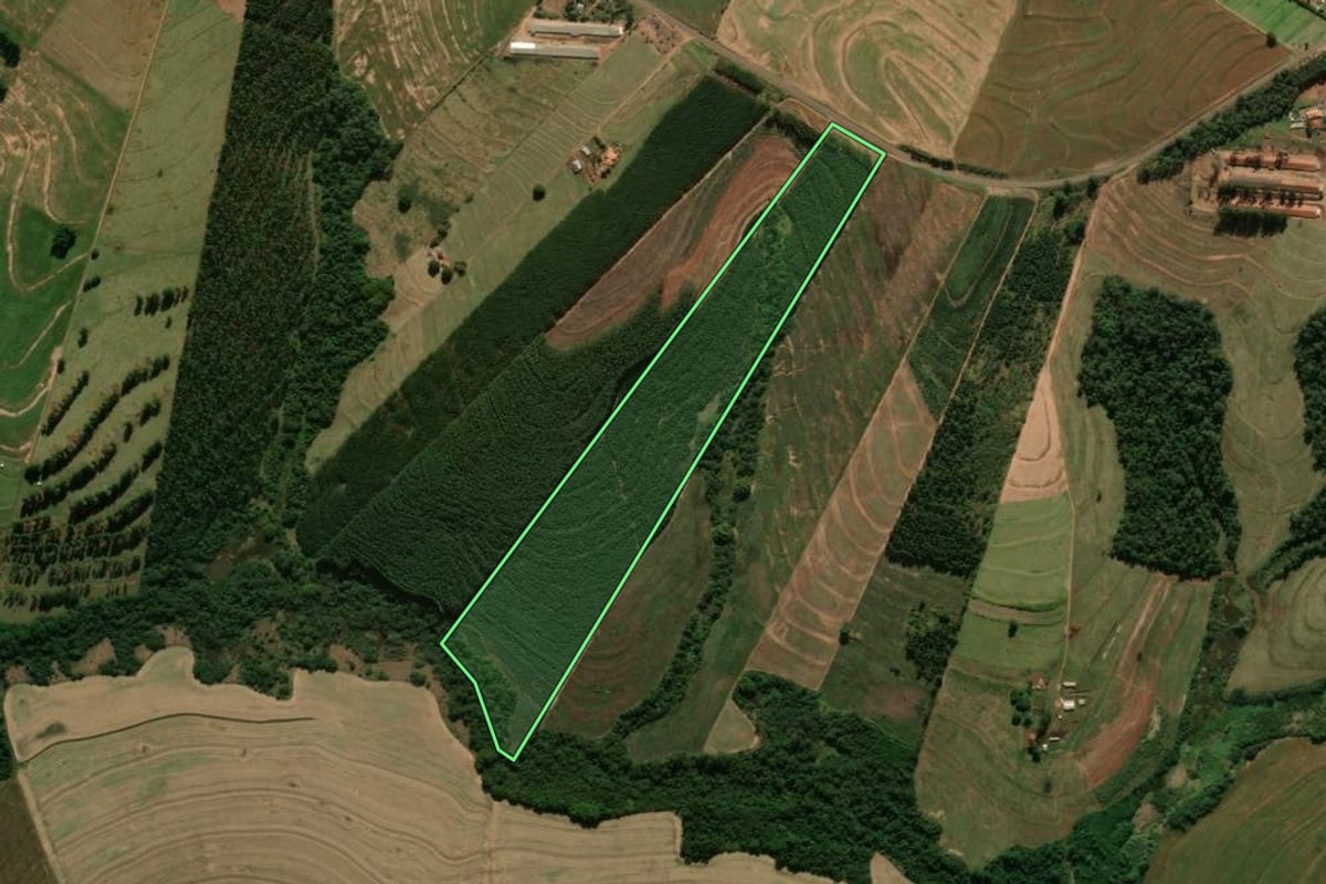 Imagem de satélite do imóvel rural em Terra Boa (PR), com o contorno declarado no CAR desenhado por cima.