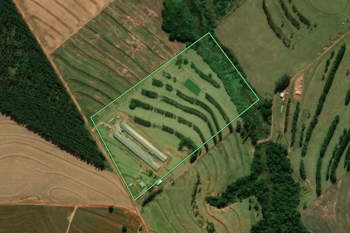 Imagem de satélite do imóvel rural em Terra Boa (PR), com o contorno declarado no CAR desenhado por cima.