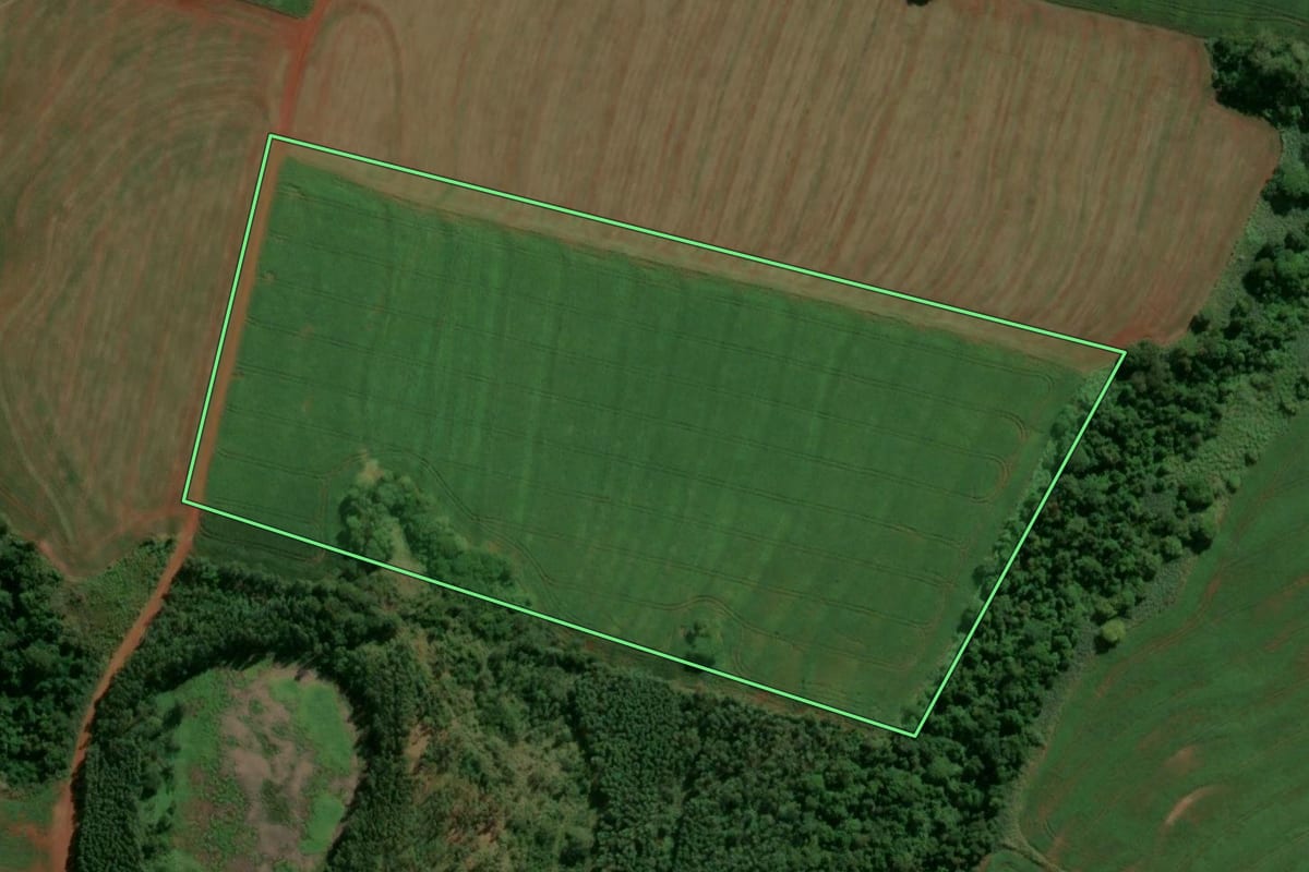 Imagem de satélite do imóvel rural em Terra Boa (PR), com o contorno declarado no CAR desenhado por cima.