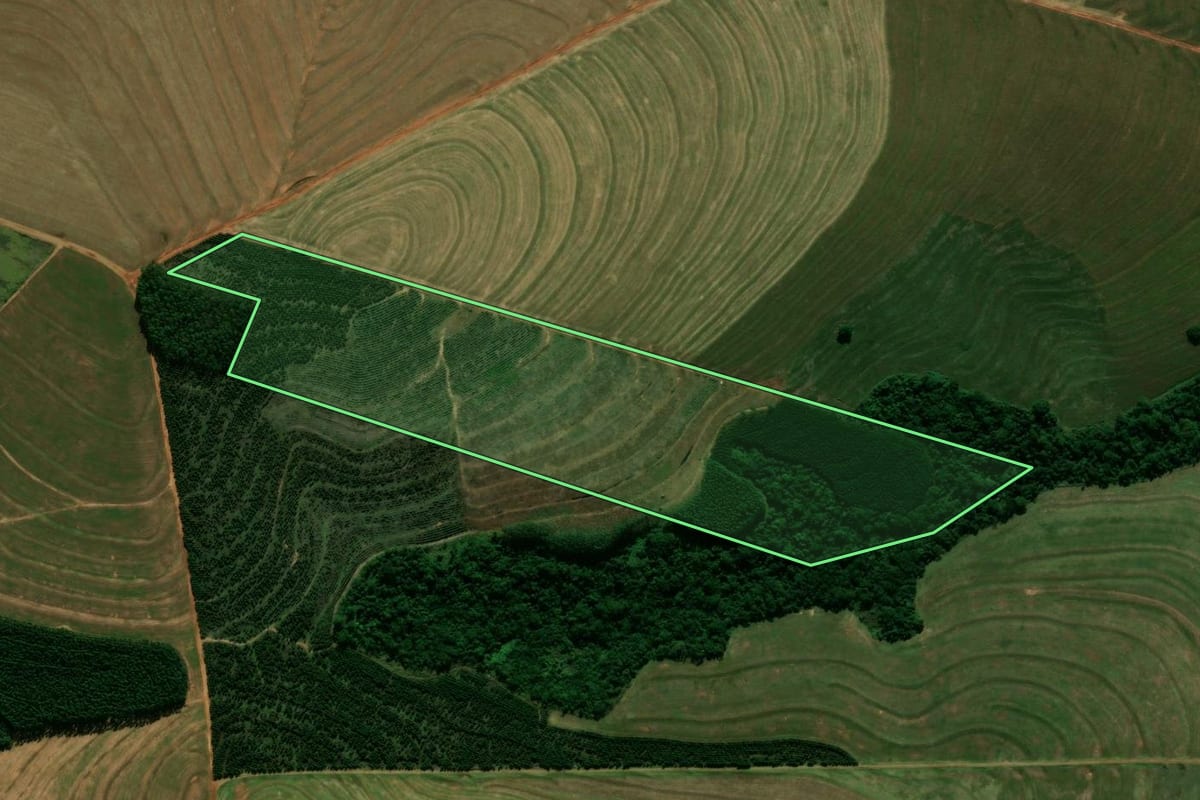 Imagem de satélite do imóvel rural em Terra Boa (PR), com o contorno declarado no CAR desenhado por cima.
