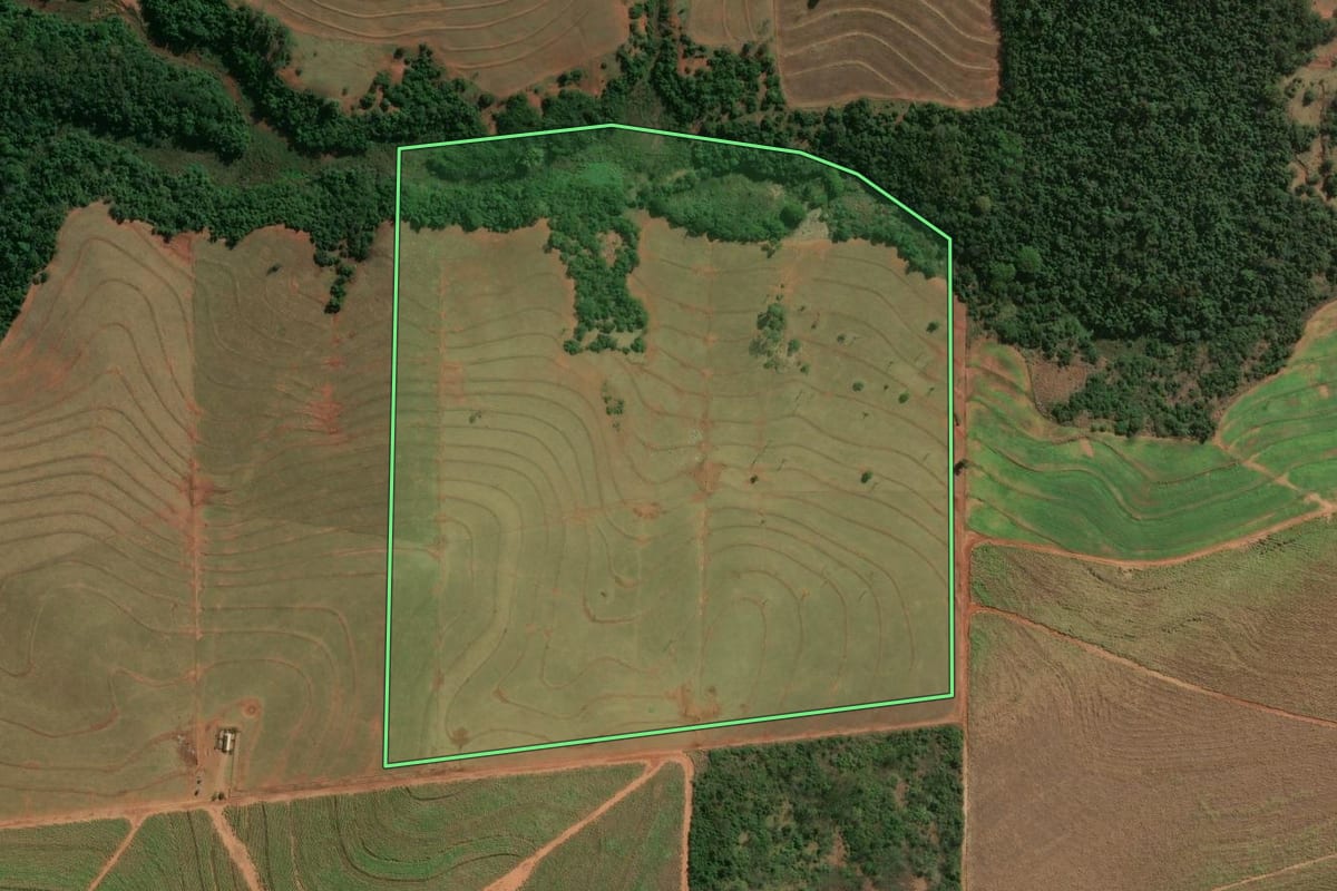 Imagem de satélite do imóvel rural em Terra Rica (PR), com o contorno declarado no CAR desenhado por cima.