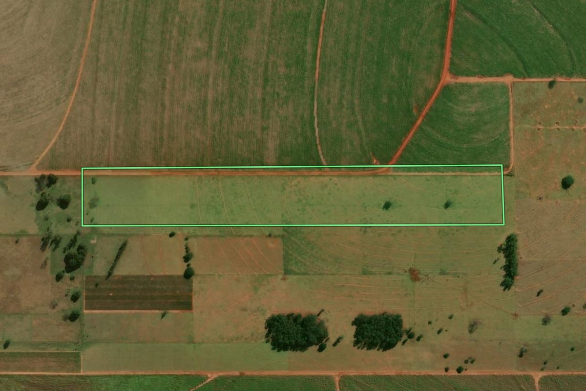 Imagem de satélite do imóvel rural em Terra Rica (PR), com o contorno declarado no CAR desenhado por cima.